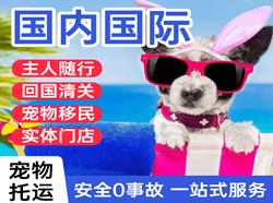 武夷山航空快运国际宠物托运 【国
